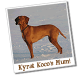 Kyrat Koco's Mum